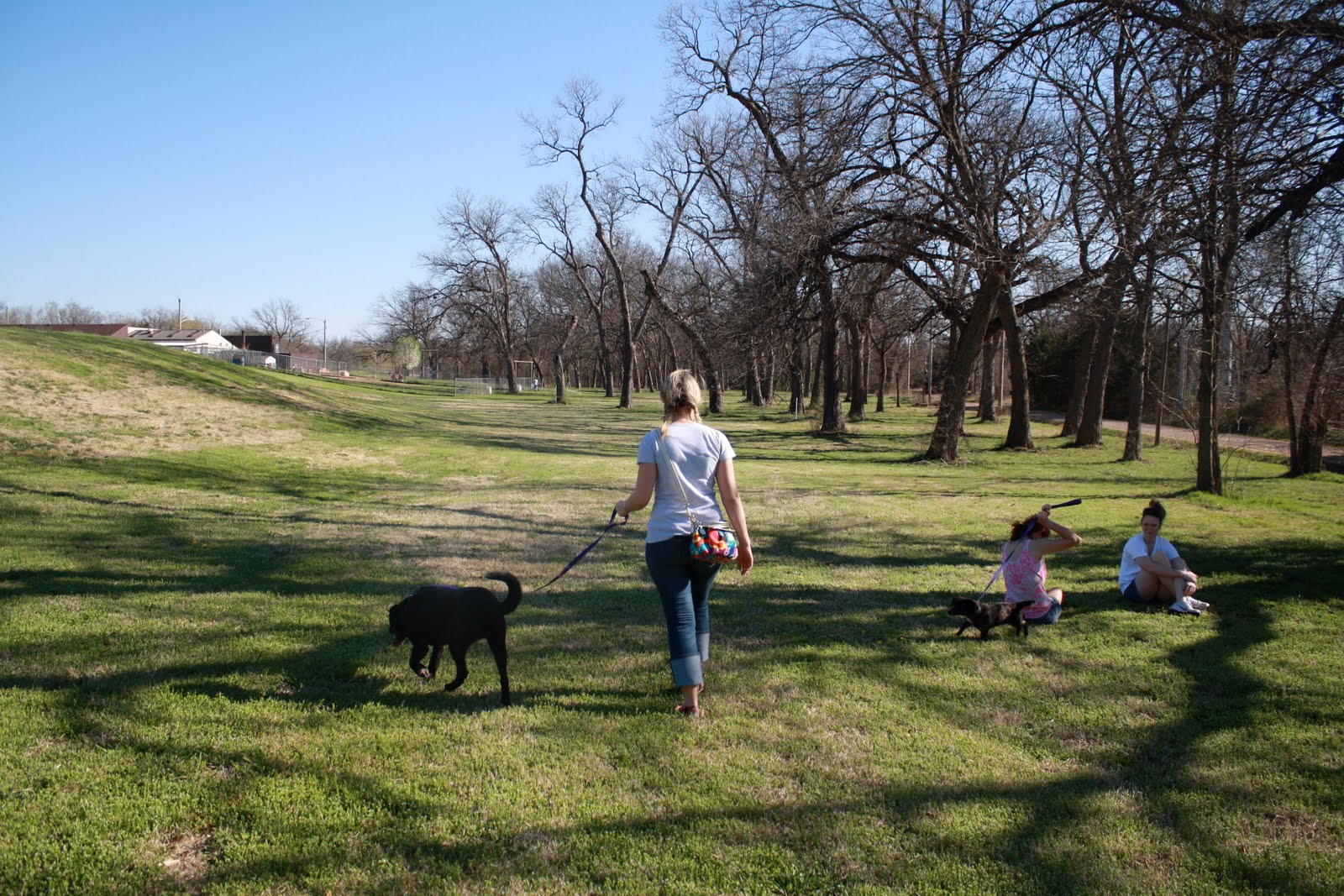OSU Photojournalism The People and Animals of Stillwater Animal Shelter