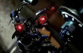 wheelie shoes for adults