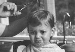 'MOM'S TOO BUSY CUTTING MY HAIR TO FIX YOUR CHILI, DEX!'
