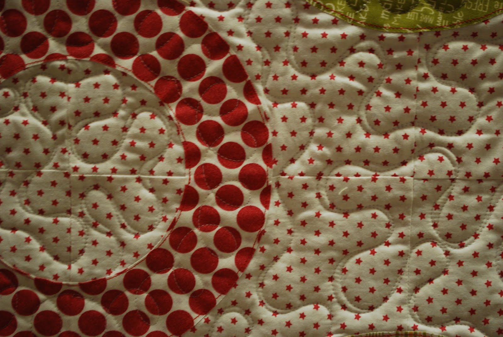 Designs by Laura Jo Raw Edge Circle Applique Quilt