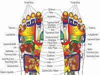 Foot Massage Diagram Foot Massage Diagram