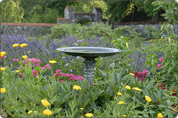 Top Landscape: World Best Landscape - Basics of Landscape Design