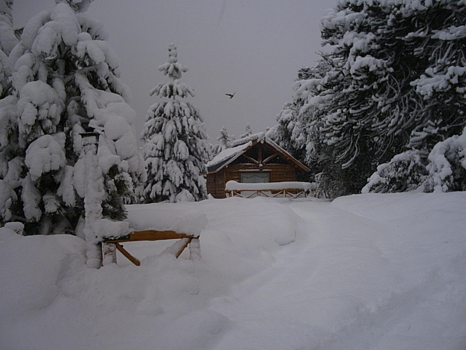 Cabañas Chepehuen Que nevada