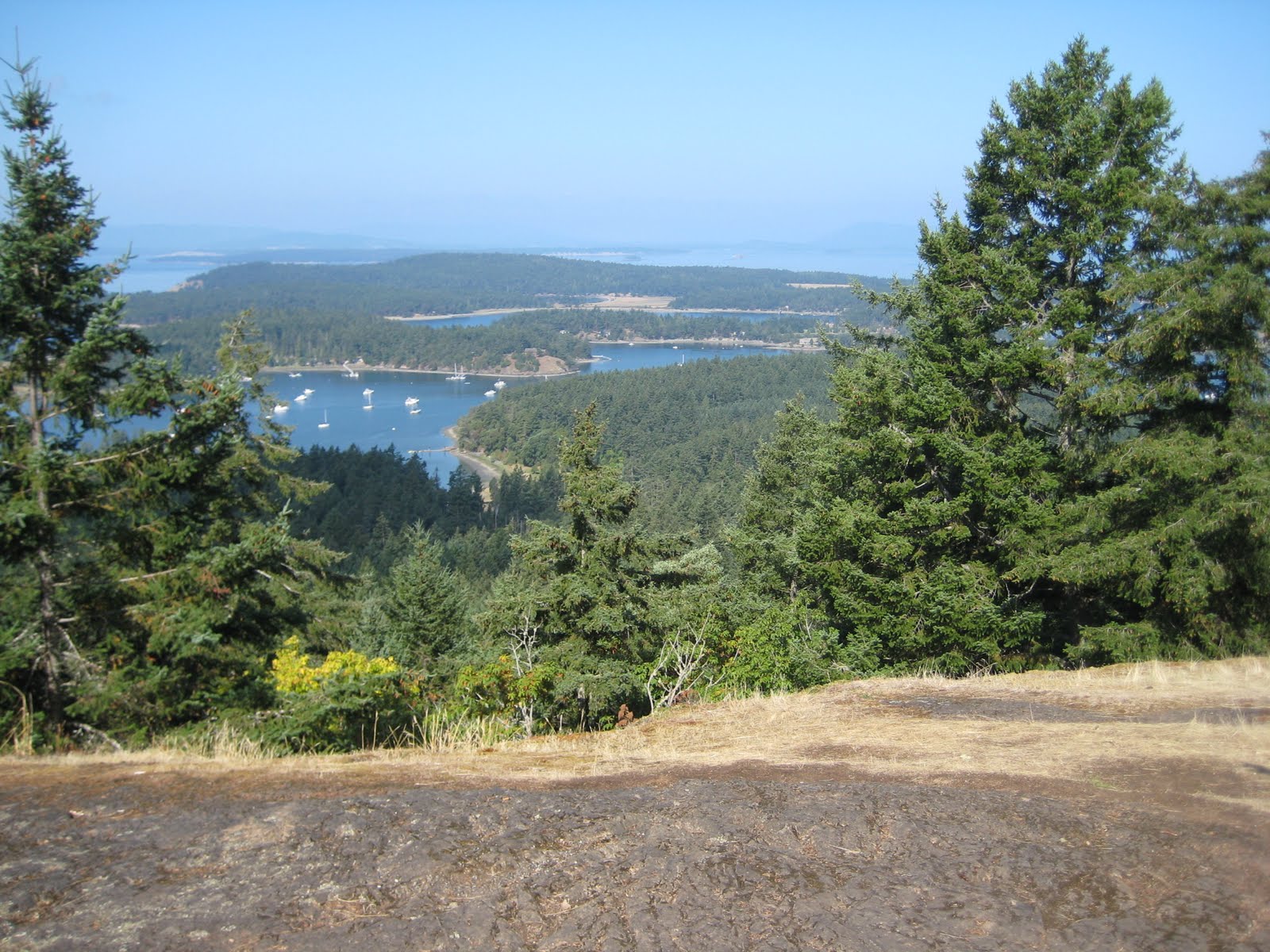 [IMG_1105.JPG]