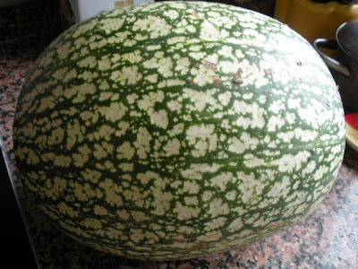 DSCN0511.JPG