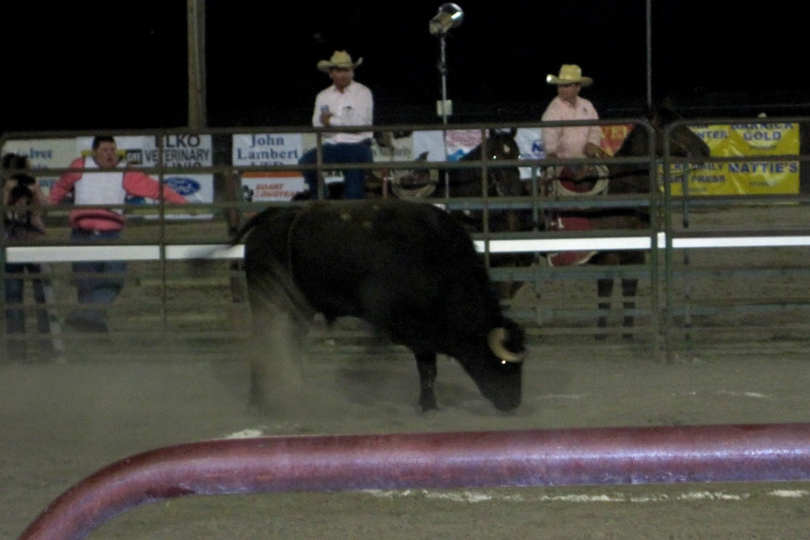 Living in a world gone mad...now with offspring Elko and Silver State