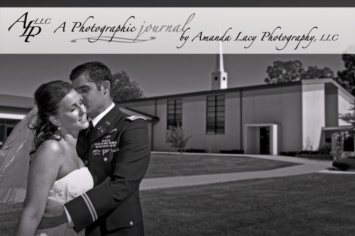Amanda Lacy Phototgraphy, LLC:: Weddings, Portrait, Commercial, Travel
