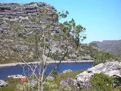 TM: a random dam in the middle of the mountain