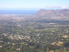 TM: Looking out