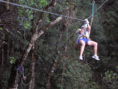 Ziplining in Tsitsikamma