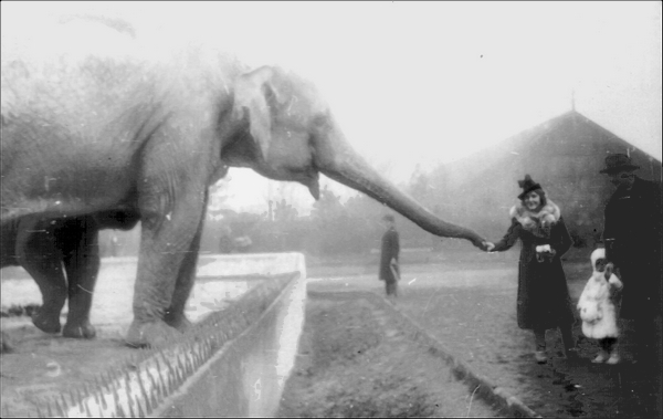 Warsaw_zoo_elephant_1938.jpg