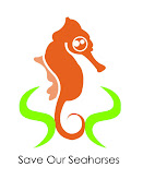 Saving The Seahorse Means Saving The Sea