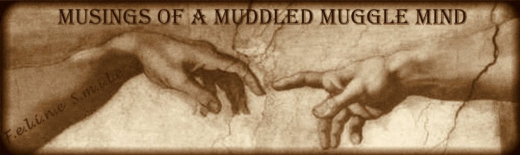 "Musings of a muddled muggle mind"