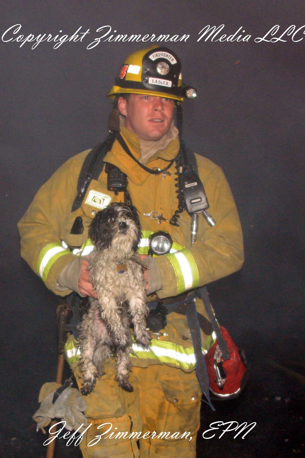 Zimmerman Media LLC: LA County Firefighters Rescue Dog From House Fire