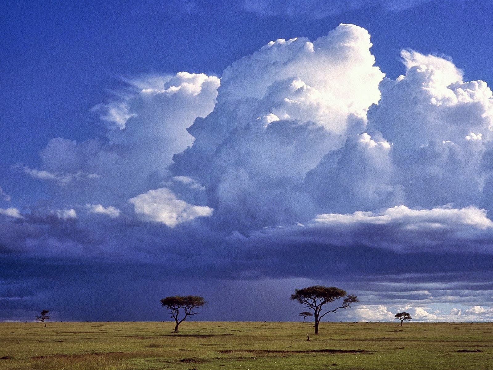 [Storm+Over+the+Savannah,+Masai+Mara+National+Reserve,+Kenya.jpg]