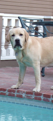 Cooper poolside