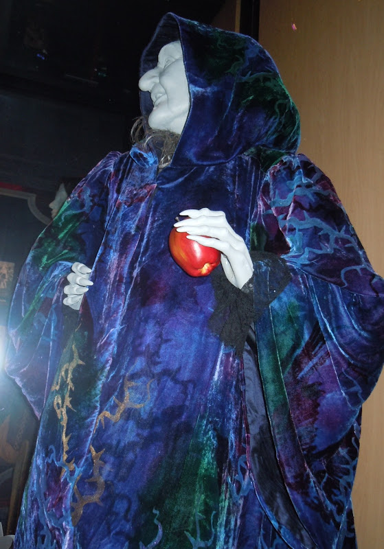 Narissa Hag movie costume from Enchanted