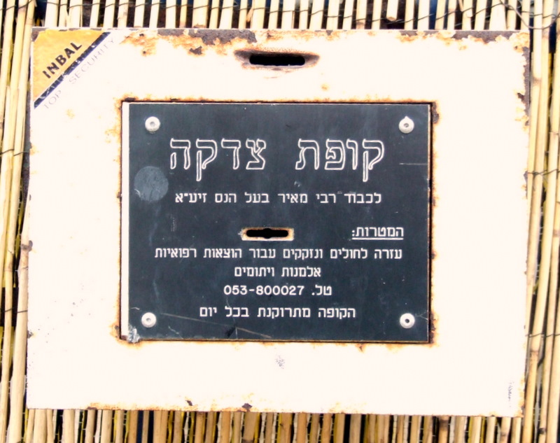 [DSCF5474.JPG]