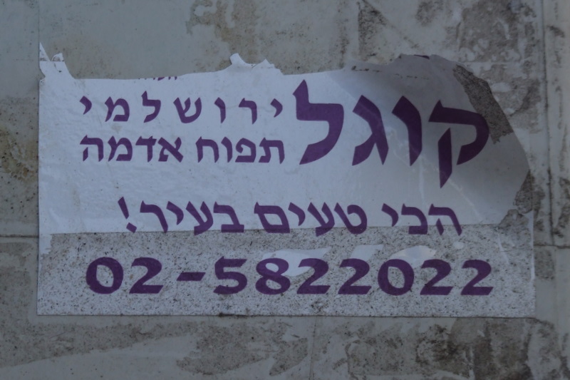 [DSCF5501.JPG]