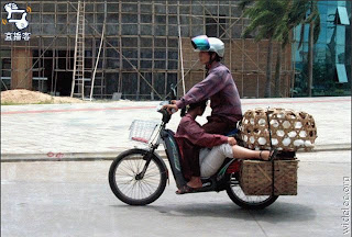 transport_82.jpg