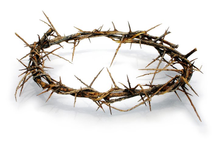 crown of thorns clipart - photo #28