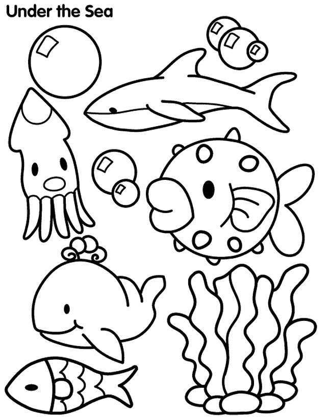 ocean animals coloring pages kindergarten snow - photo #6