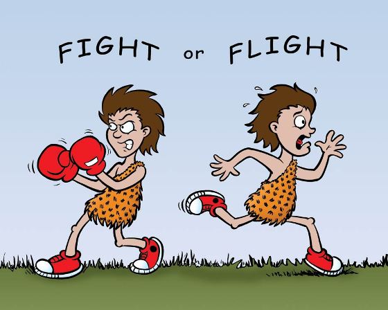 Buffering Brain: Fight or Flight Response