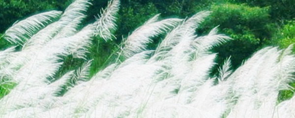 Say something.........