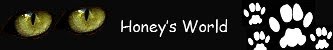 Honey's World