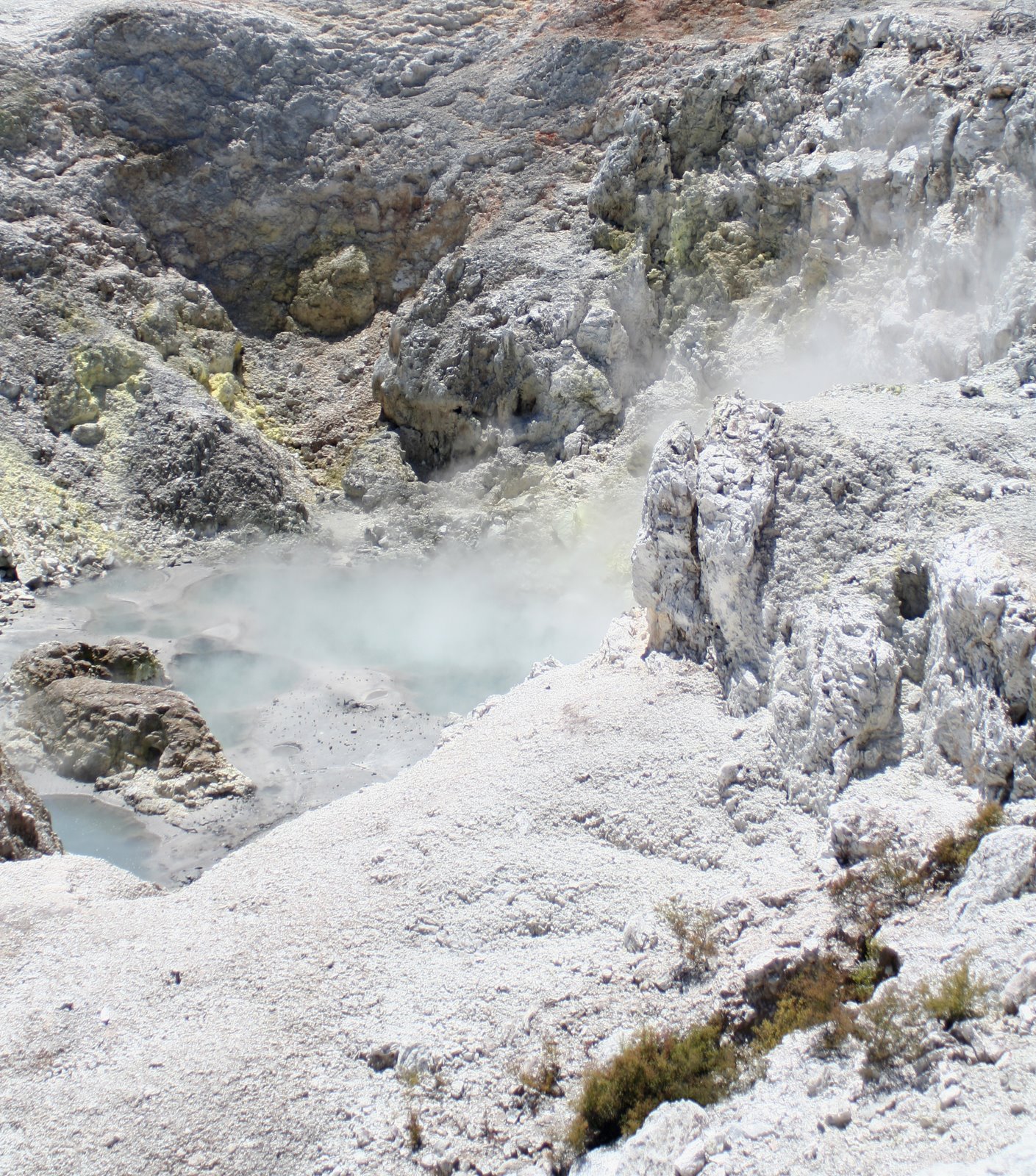 [IMG_6321.jpg]