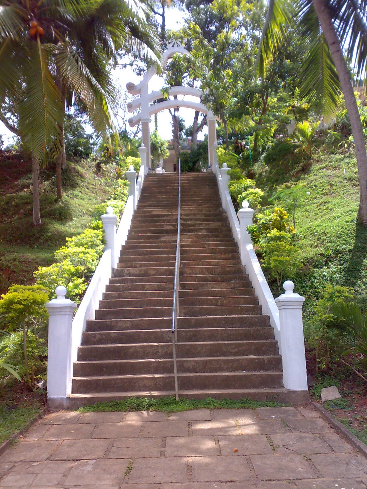 07102009082.jpg