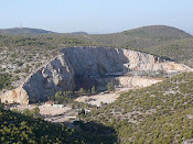 ΑΘΛΗΤΙΣΜΟΣ ΚΑΙ ΠΡΑΣΙΝΟ