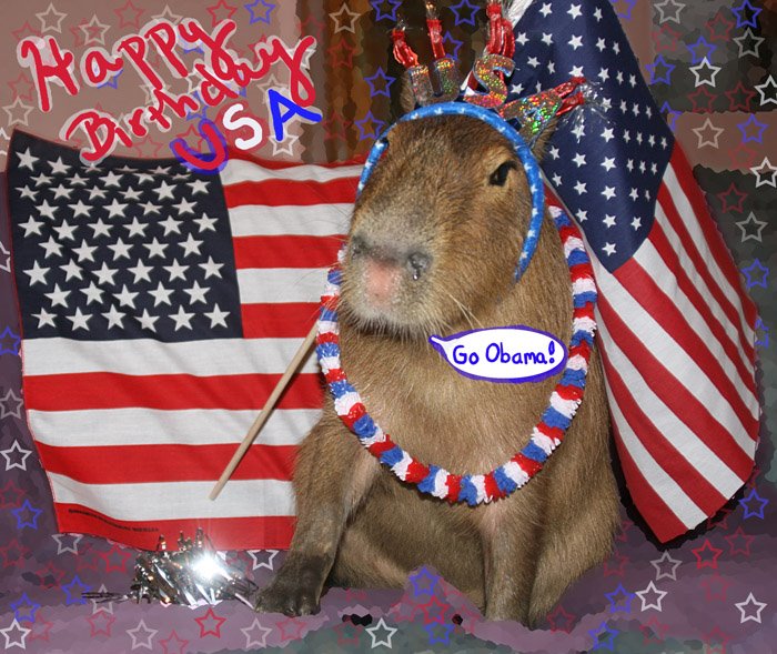 [2008_sCaplin_ForthOfJuly.jpg]