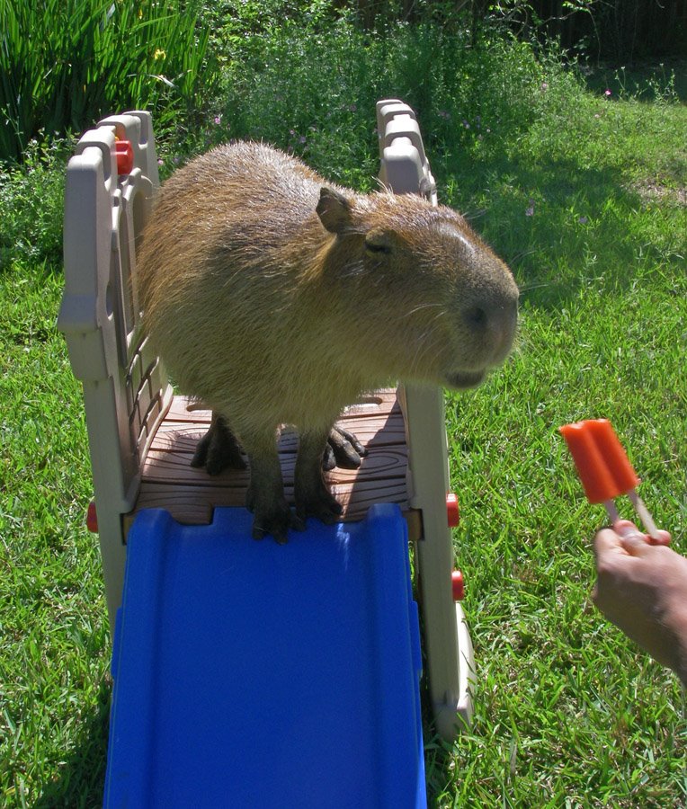 [2009_04_19_05_sCaplinSlide.jpg]
