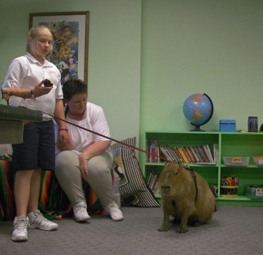 [2009_04_27_03_sCaplinSchool.jpg]