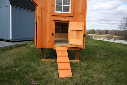 chicken mini coop coops horse improved much barns