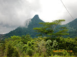 Hutan dan Gunung