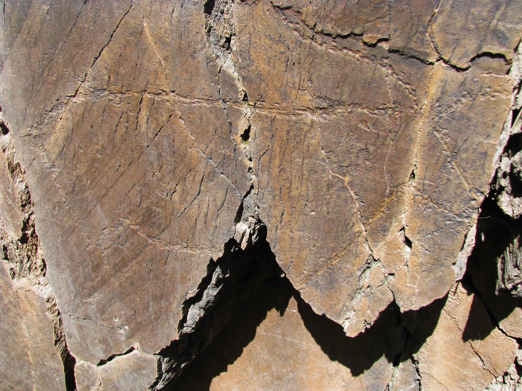 Vila Nova de Foz Coa. Prehistoric Rock-Art