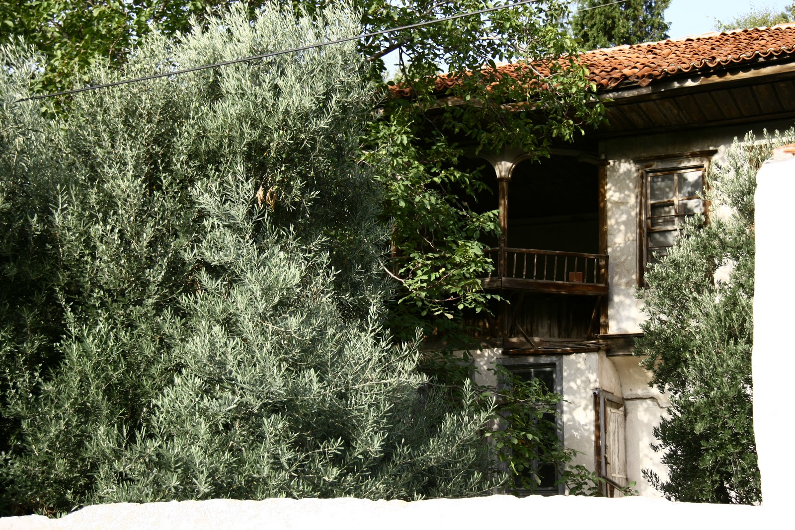 ÜçRenk Sanat Kasım 2010