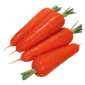 carrot and gibbs tie
