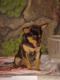 Lophe Photos