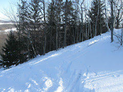 Fox Hill Ski Area