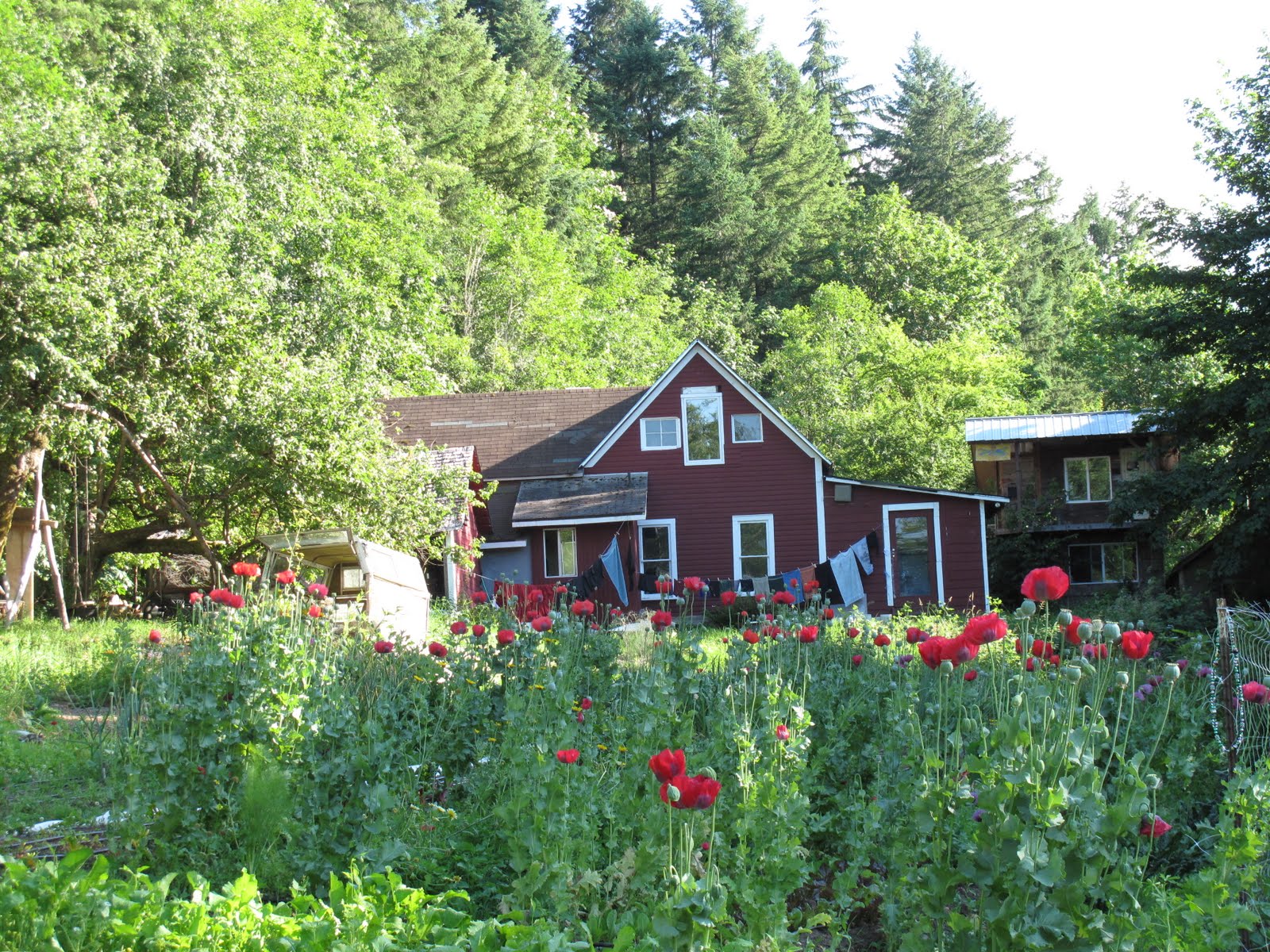 the baker's daughter July 2010