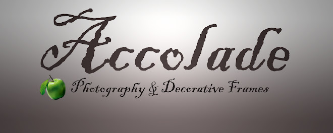 Accolade Photography