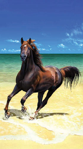Beach Horse picture #1