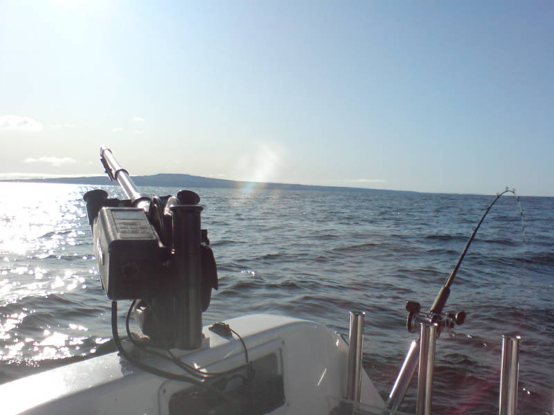 [image-upload-14-774509.jpg]