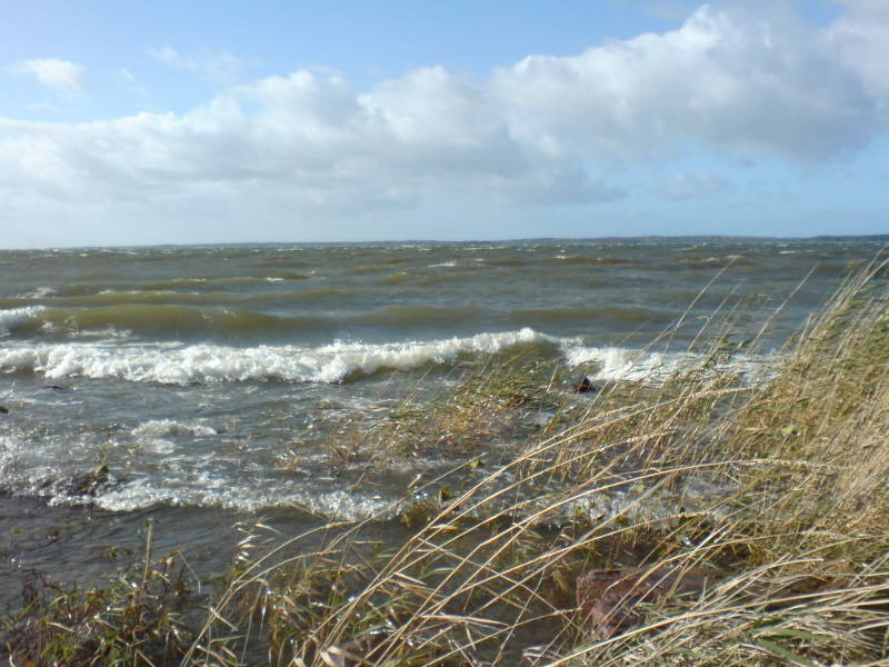 [image-upload-17-739826.jpg]