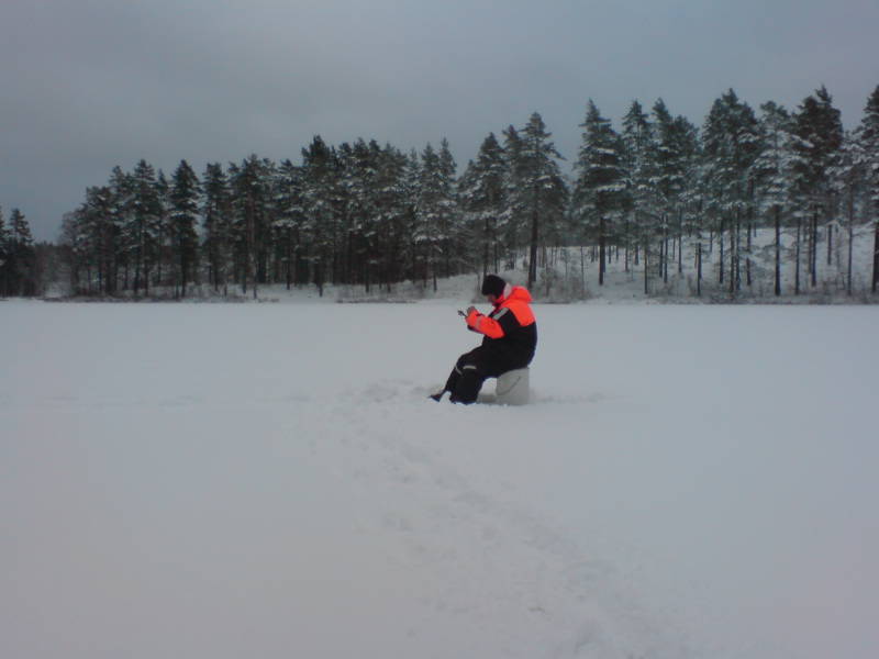 [image-upload-374-767514.jpg]