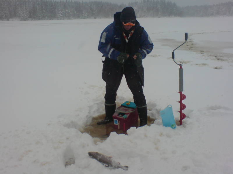 [image-upload-374-754496.jpg]
