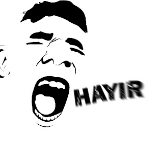 hay%C4%B1r+radial.jpg
